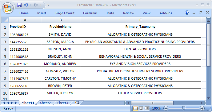 Provider Data Spreadsheet Image